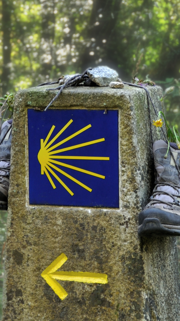 Camino de Santiago Portugues